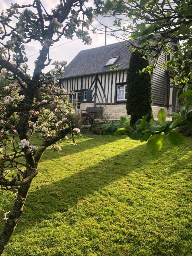 Gîte 'les matins calmes ' Cheffreville-Tonnencourt Extérieur photo