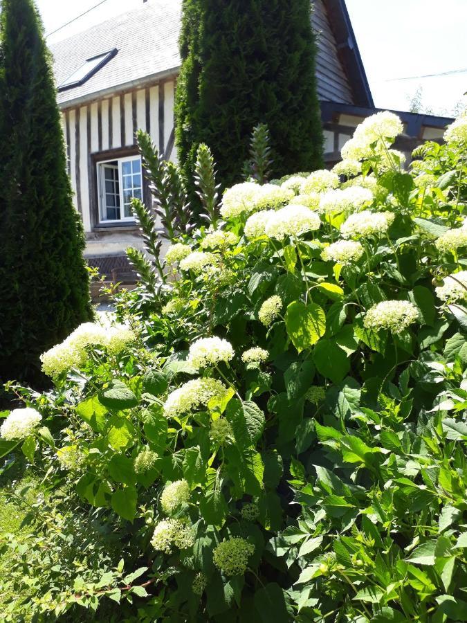 Gîte 'les matins calmes ' Cheffreville-Tonnencourt Extérieur photo