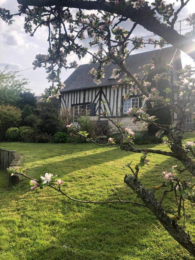 Gîte 'les matins calmes ' Cheffreville-Tonnencourt Extérieur photo